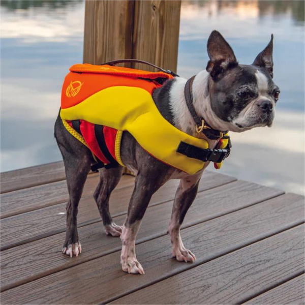 2026 HO Sports Sage Neoprene Dog Vest HA-VEST-DOG - Yellow / Orange / Red
